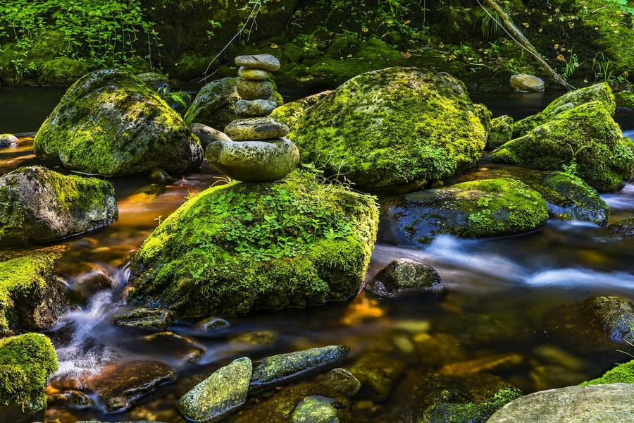Wo die Quelle der Customer Journey liegt