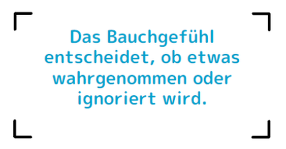  (Bild: msp Druck)