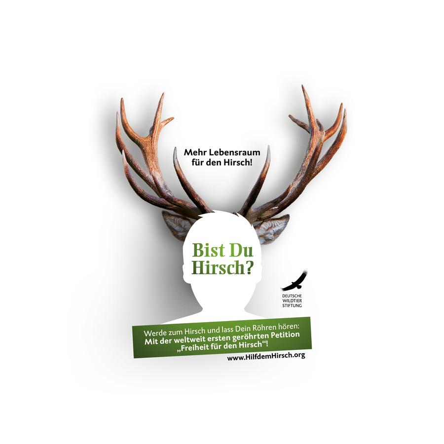 Das Key-Visual der Kampagne. (Bild: Deutsche Wildtier Stiftung)