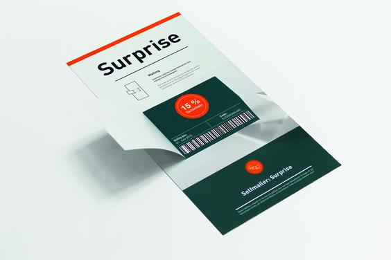  (Bild: Selfmailer-shop.de der programmatic-printing-group.de)