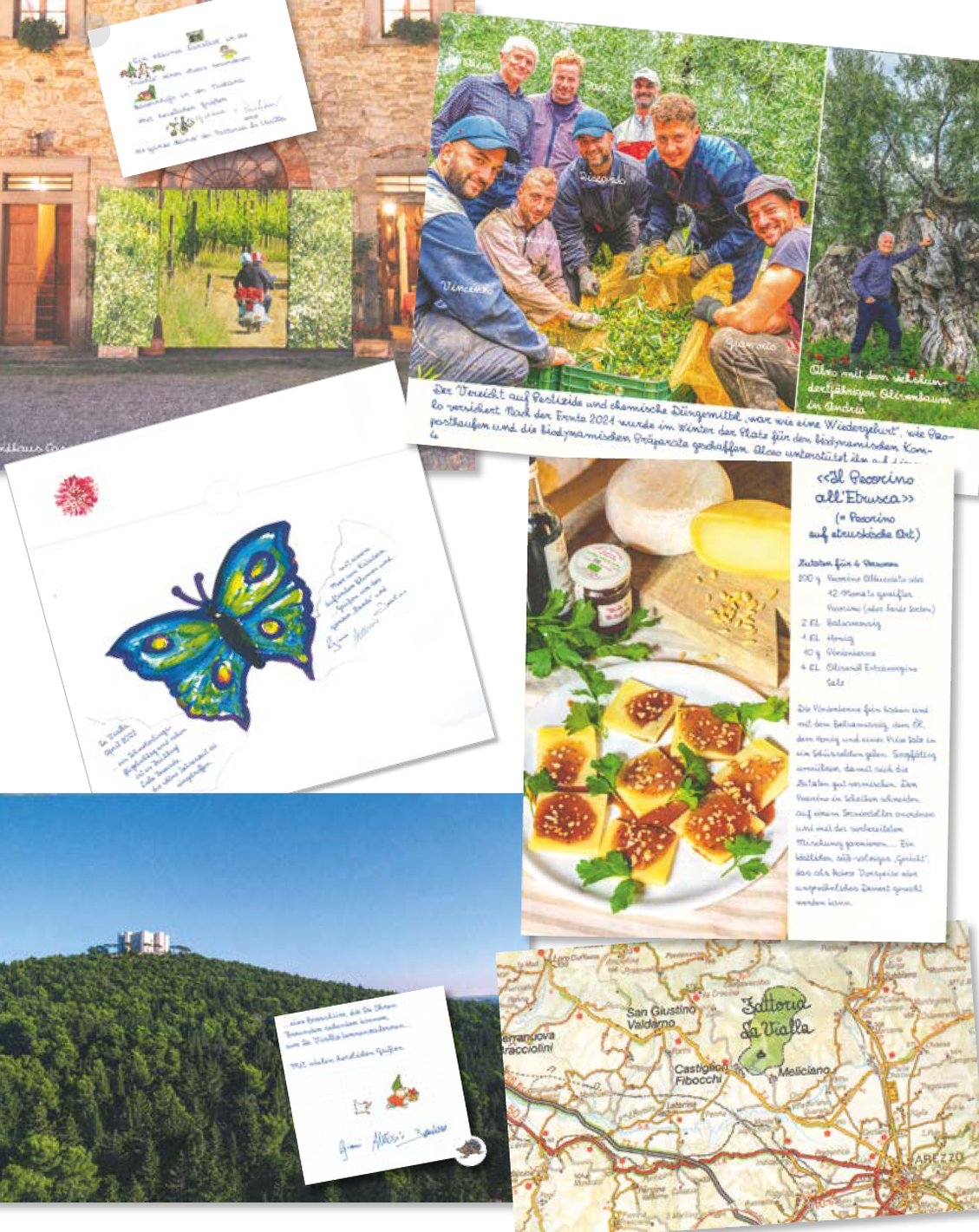  (Bild: Fattoria La Vialla/Collage Hightext)