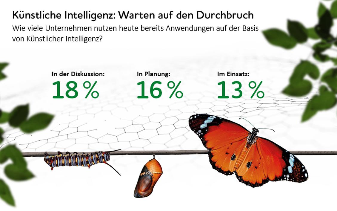 Knstliche Intelligenz: Warten auf den Durchbruch (Bild: Bitkom/TCS)