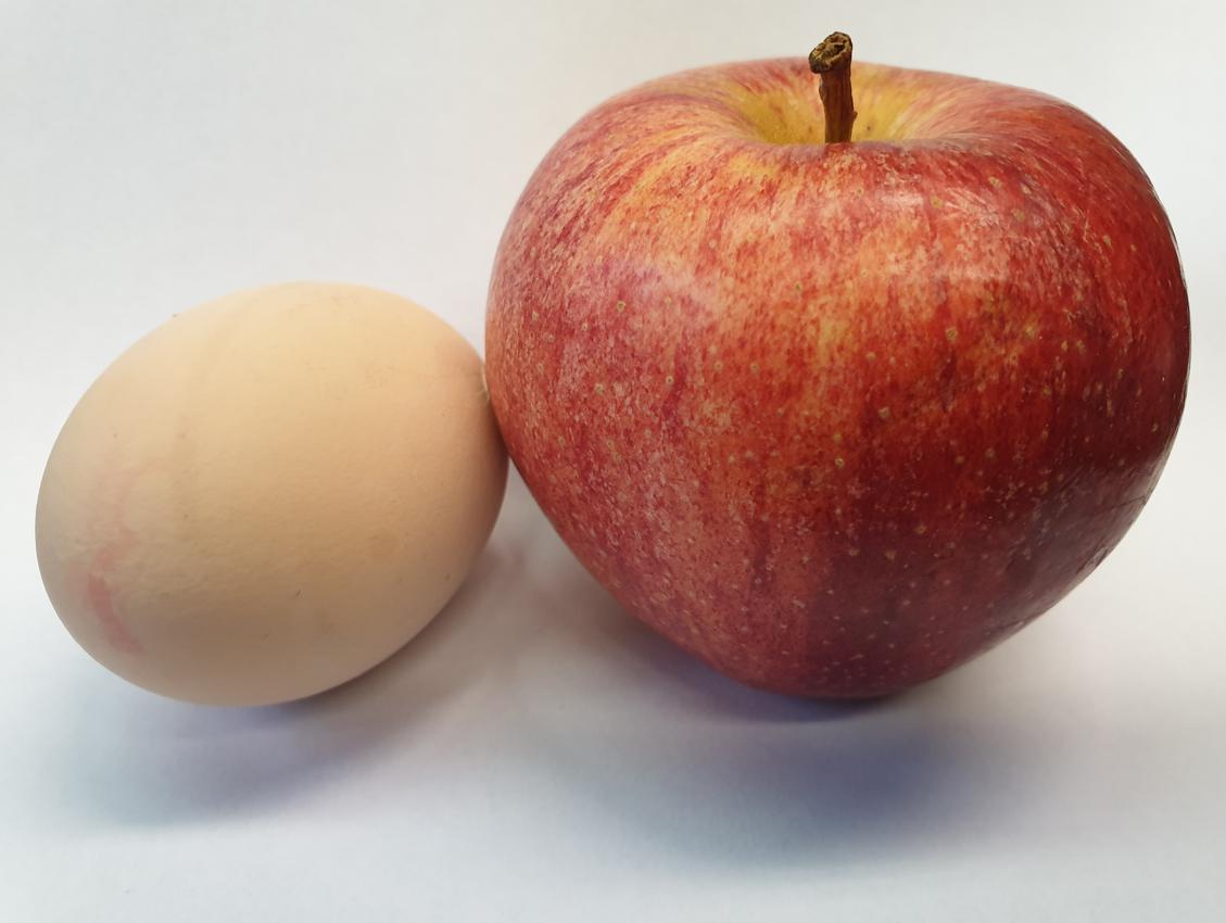 Selbst an Ostern müssen Sie nicht für nen Appel und nen Ei verkaufen (Bild: jg)