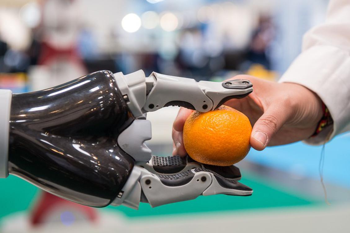  (Bild: International Federation of Robotics)
